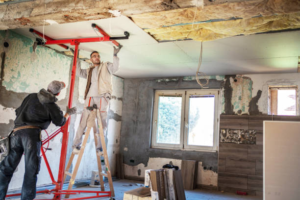 Best Insulation Maintenance and Repair in Green Cove Springs, FL