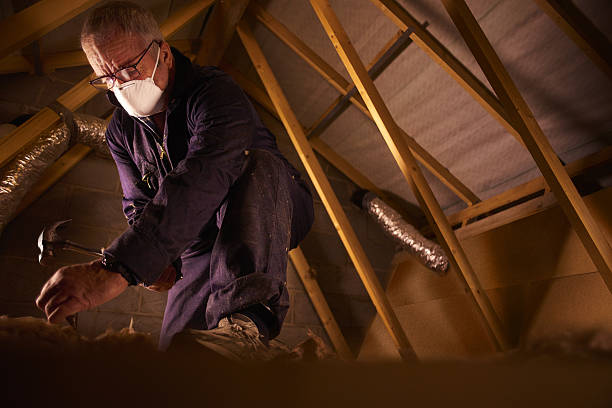 Best Insulation for Specific Applications in Green Cove Springs, FL